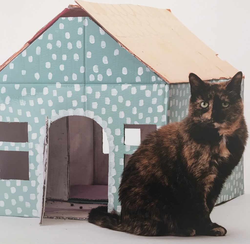 Estate Agents for Cats//Colourliving blog